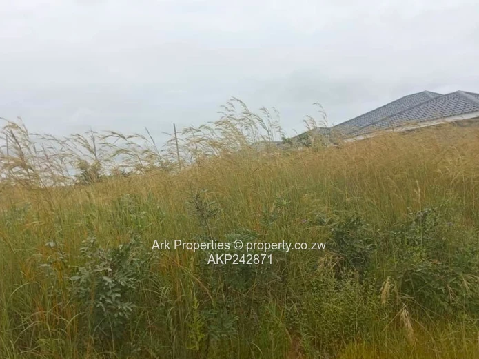 Stand for sale in Elizabeth Park Ruwa