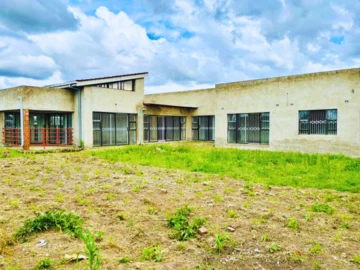 Farm & Agricultural Land