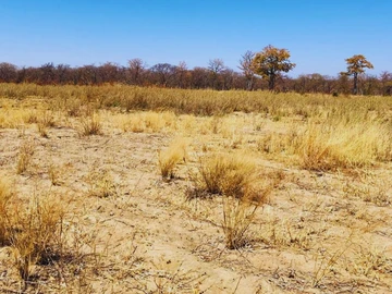 Farm & Agricultural Land