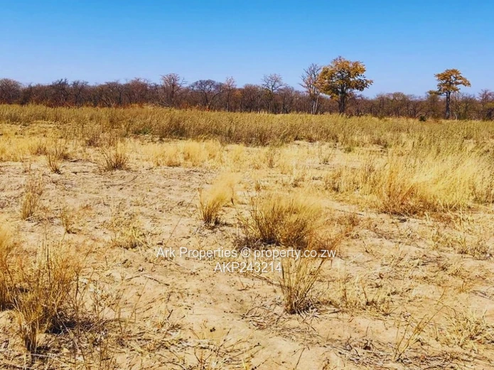 Farm For Sale In Ngezi