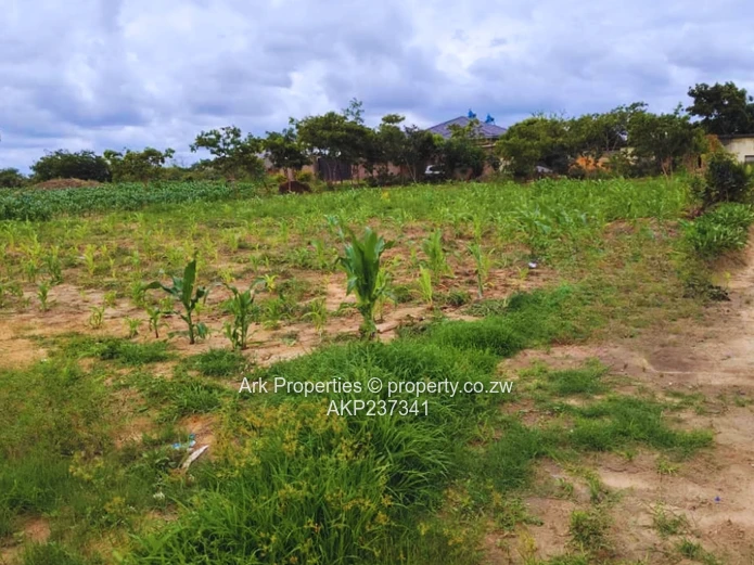 FOR SALE - GLAUDINA STAND | 2,500 sqm