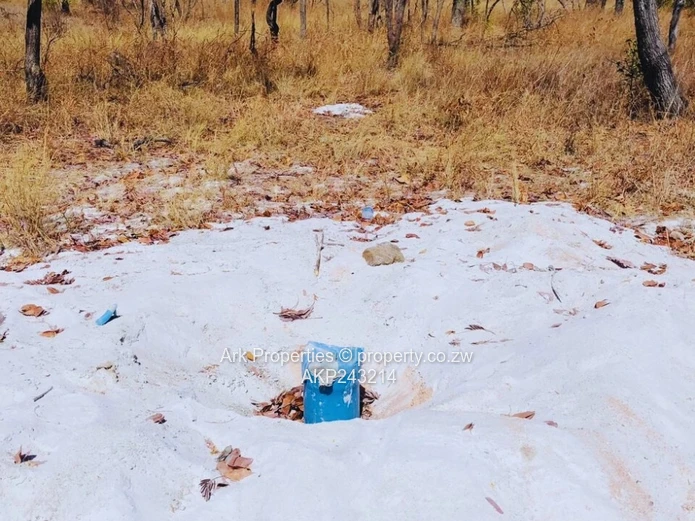 Farm For Sale In Ngezi