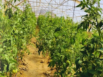 Farm & Agricultural Land