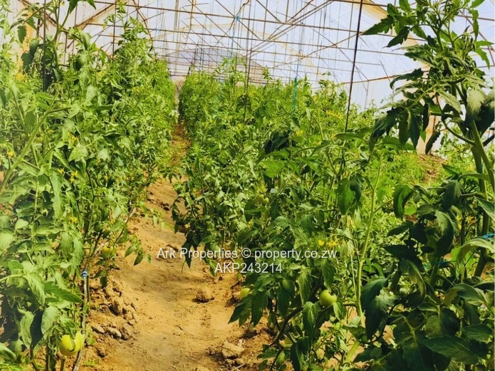 Farm For Sale In Ngezi